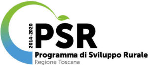 logo-PSR